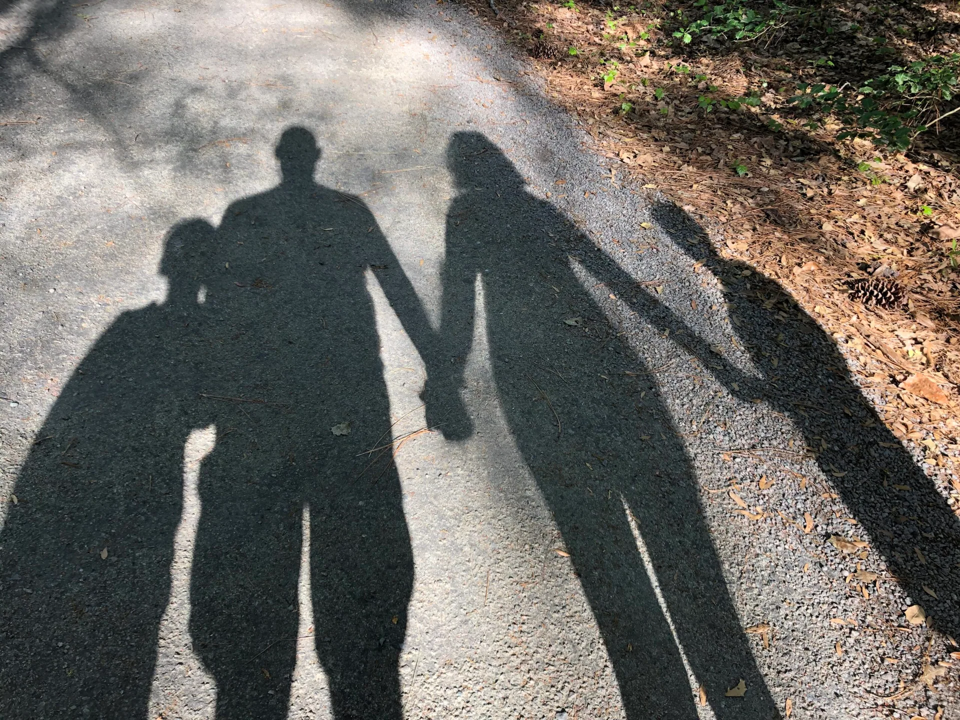 The Yocum family walking together, represented by their shadows on a sunlit path